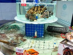 水产区-大锅强·蒸海鲜青岛菜(吾悦广场店)