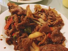 -裕龙汤泉