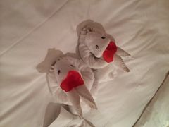 涵田度假村酒店-天目湖涵田度假村