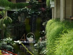 -白天鹅宾馆-宏图府餐厅