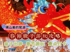-美的鹭湖森林度假区