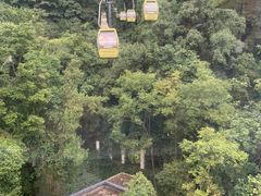 -黔灵山公园
