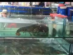android_upload_pic-海香园饭店