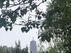 -永定河休闲森林公园