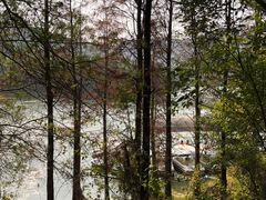 -水濂山森林公园