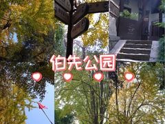 -伯先公园