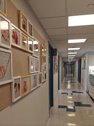 -杭州贝瑞斯美华妇儿医院·早孕·产检·儿科