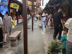 -茯茶镇