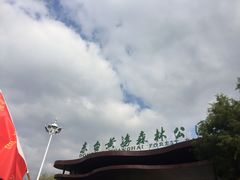 -黄海国家森林公园