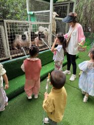 -可可天空农场(中大店)