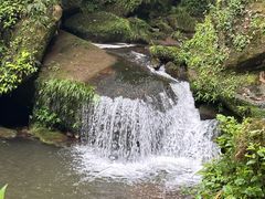 -碧峰峡风景区