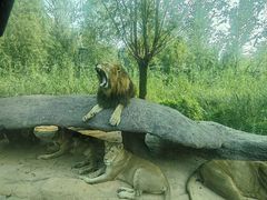 -北京野生动物园