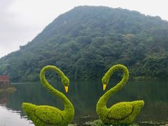 -广州市石门国家森林公园