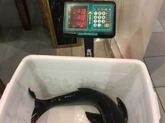 -森谷美食公园(杨行店)
