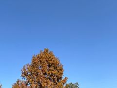 -南京市无想山景区