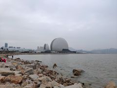 -野狸岛