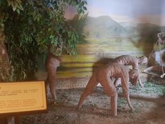 -张家港凤凰山景区河阳山歌馆