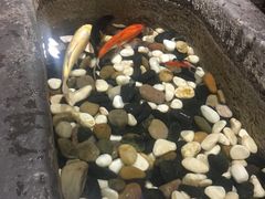 -和院老火锅铜锅烧烤海鲜(朱雀大街店)