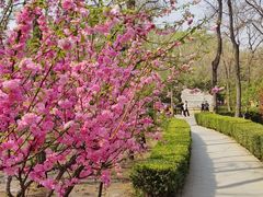 -元大都城垣遗址公园