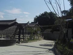 -燊海井