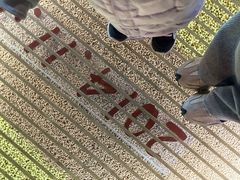 -厨邦酱油文化博览馆