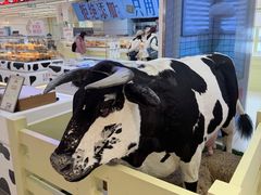 -红星前进面包牛奶公司(君太店)