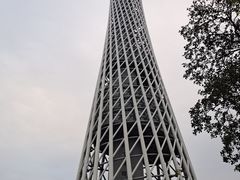 -珠江夜游广州塔·中大码头