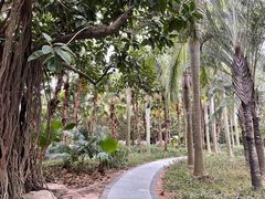 -深圳湾公园(南山区)