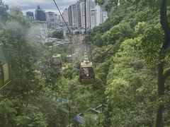-黔灵山公园