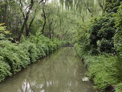-洛阳市隋唐城遗址植物园