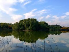 -大兴滨河森林公园