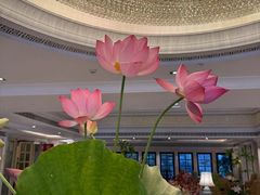 -福建鲤鱼洲酒店