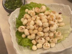 -同仁四季椰子鸡(福田东园总店)