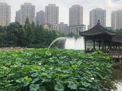 -龙头寺公园