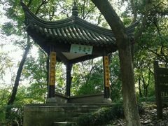 android_upload_pic-府山公园