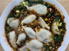 牛肉韭黄饺子-尤素福东举院饺子馆