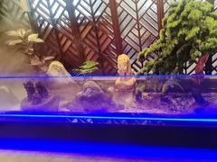 -柴火大院烤鸭民间菜
