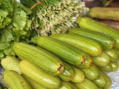 小瓜-双龙烧烤城