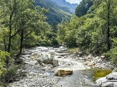 -青峰峡国家森林公园