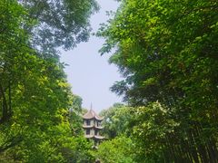 -成都杜甫草堂博物馆