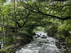 -广州市石门国家森林公园