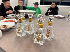 -丁老爷子苏香圆