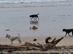 -金巴兰海滩烛光bbq