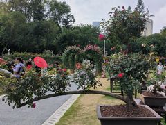 -人民公园(罗湖区)