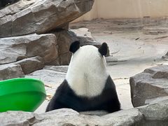 -宁波野生动物园