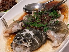 -南麓·浙里(外滩店)