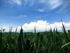 -新疆那拉提国家旅游度假区