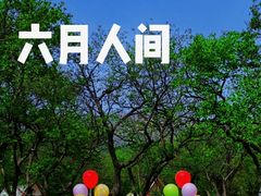 -沂蒙山旅游区龟蒙景区