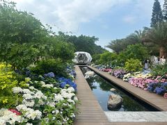 -深圳仙湖植物园