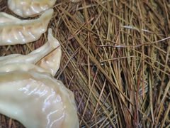 -松针蔡记蒸饺(花园路店)